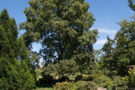 Der Blick aus dem Schlafzimmer.