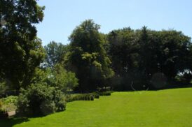 Blick aus dem Wohnzimmerfenster.