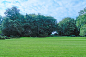 Blick aus dem Wohnzimmer.