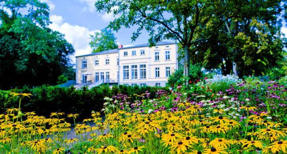 Blick über das Staudenbeet