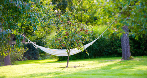 Hängematte im Obstgarten.
